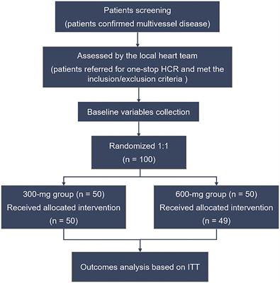 Clopidogrel Loading Dose 300 vs. 600 mg in Patients Undergoing One-Stop Hybrid Coronary Revascularization: A Prospective Single-Center Randomized Pilot Study